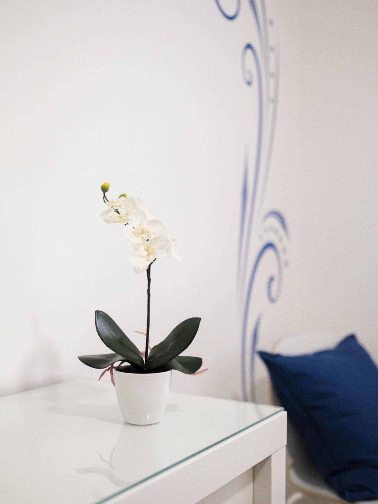 Cazenn Nazare - Apartment Z Екстериор снимка
